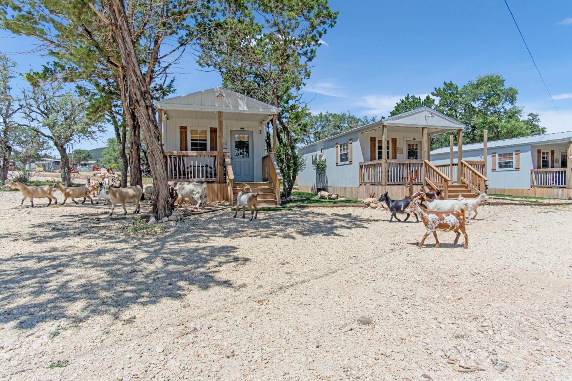 Lucky Star Ranch - Stargazer Hotel Tarpley Eksteriør billede